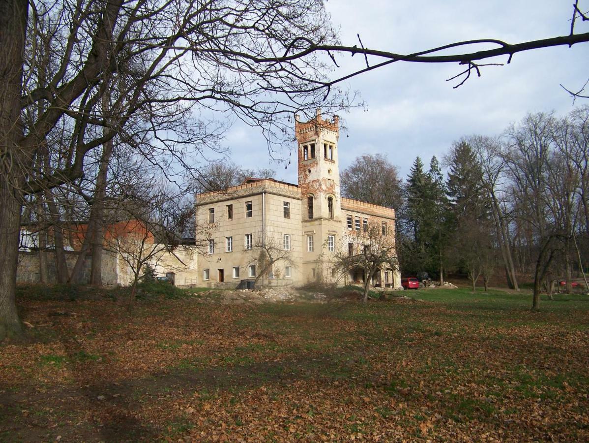 Palac Dabrowica Dabrowica  Exterior photo